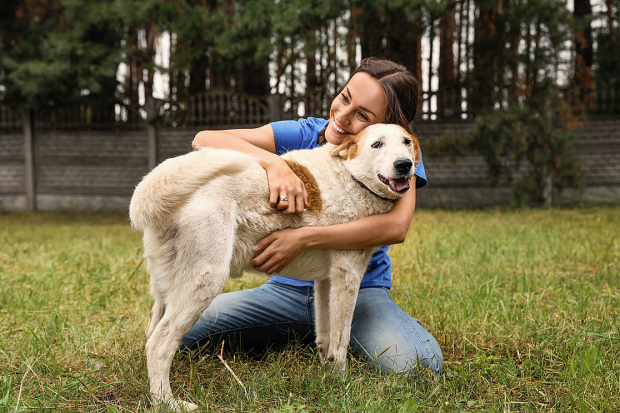 Perros coronavirus