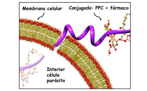 Graficoweb,0