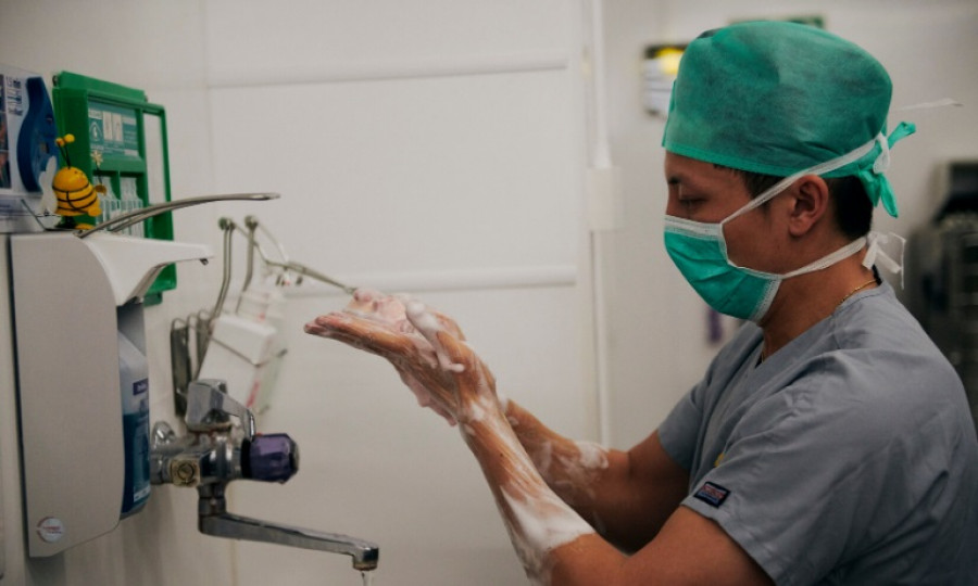 Estrés agotamiento veterinario