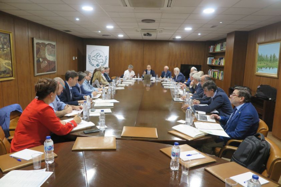 junta ocv organización colegial veterinaria