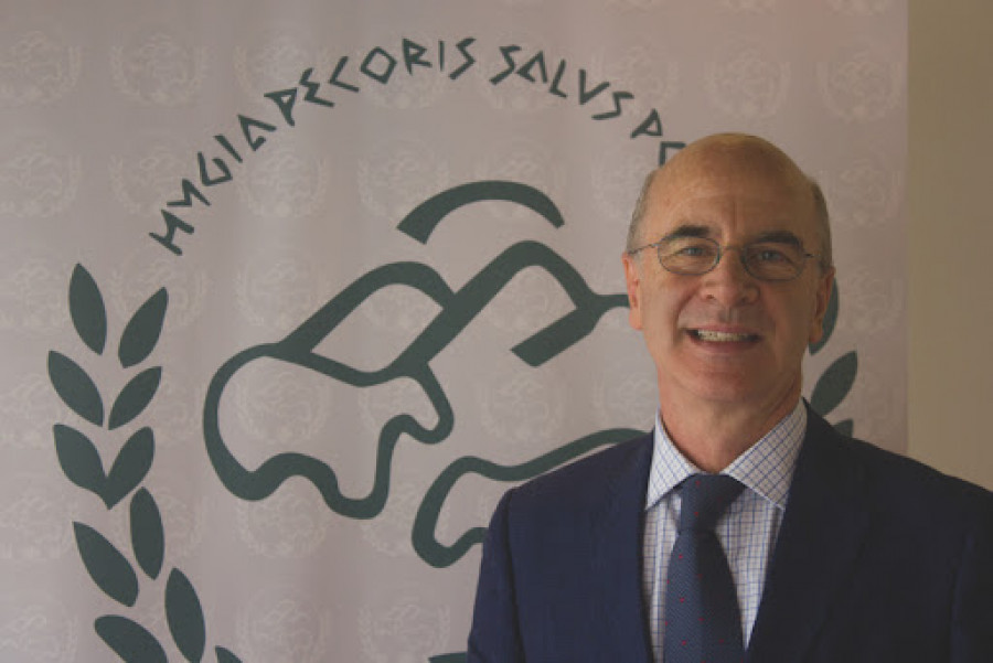 Armando solís