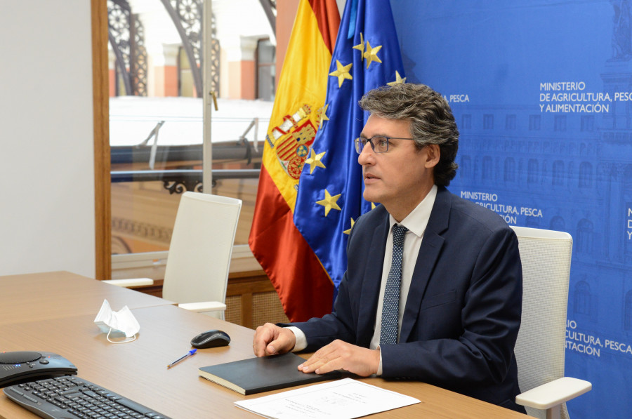 Fernando Miranda secretario general de Agricultura y Alimentación