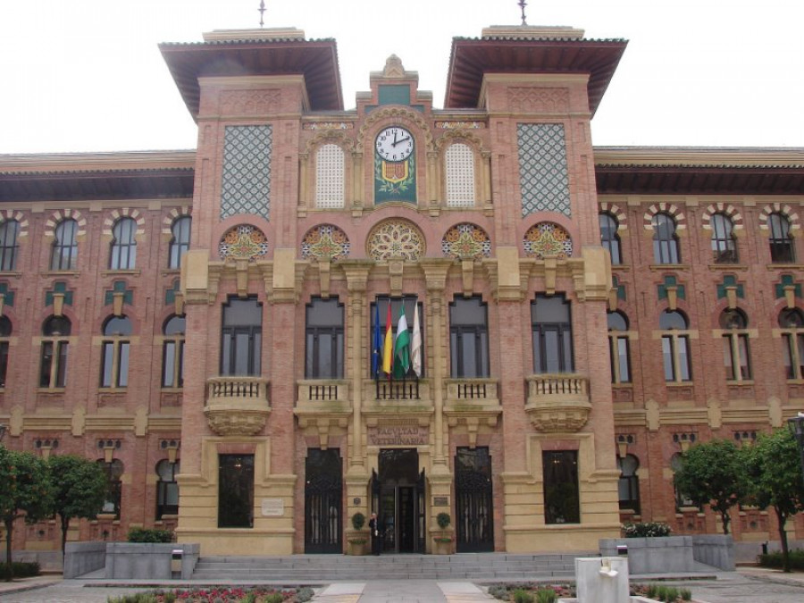 Universidad de córdoba