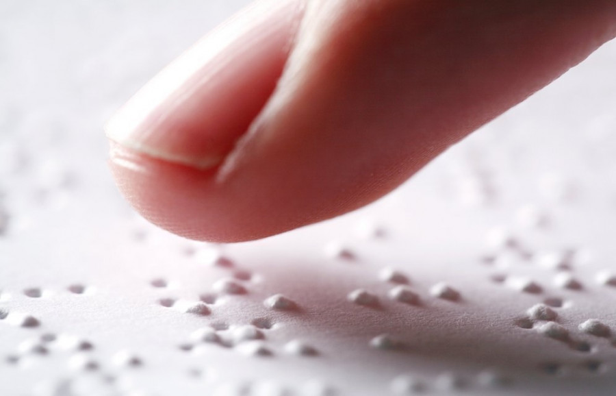 Braille medicamentos veterinarios