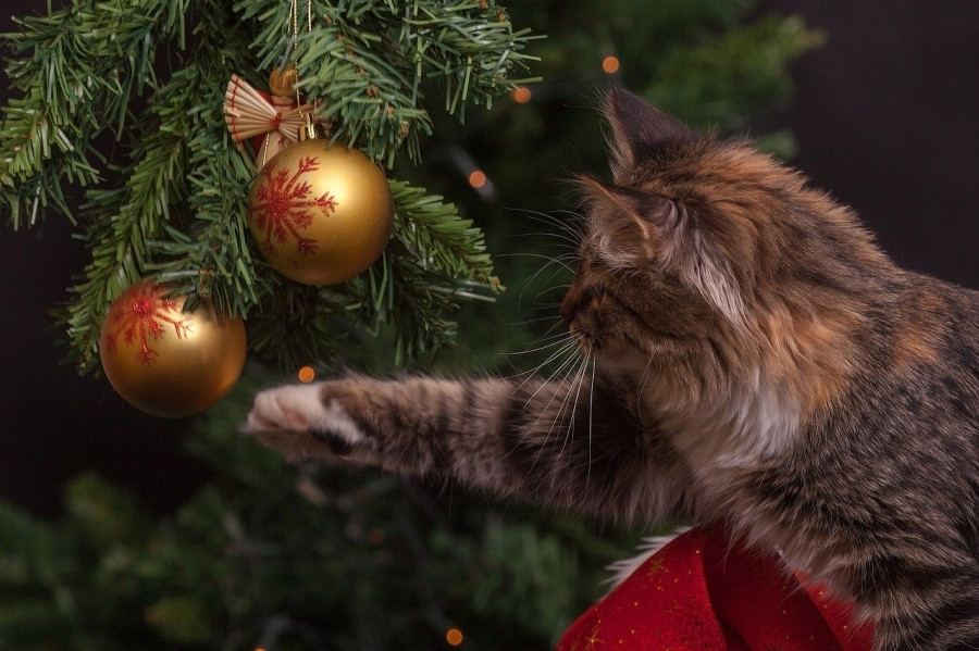 mascotas intoxicaciones navidad