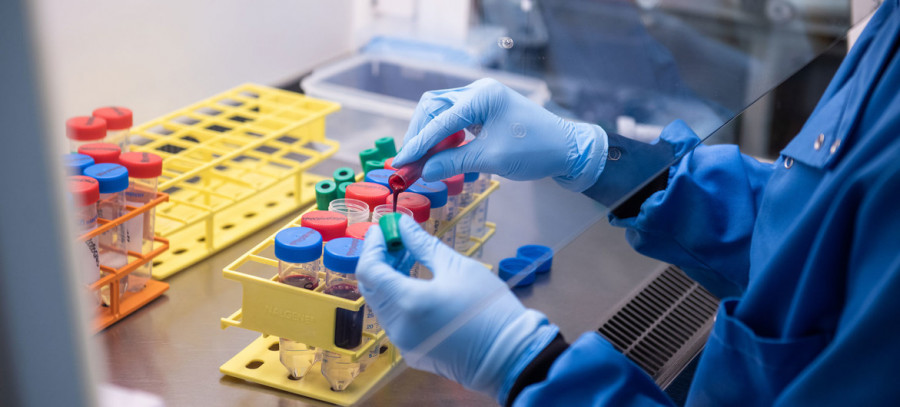 Investigación cáncer animal