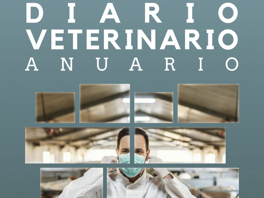 Anuario DV