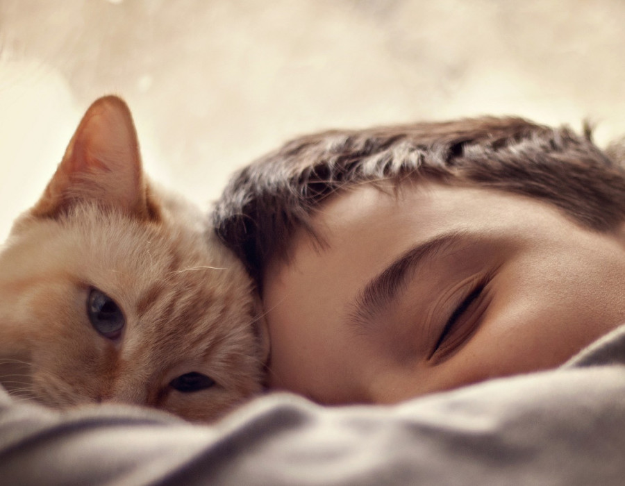 Gatos niños autismo