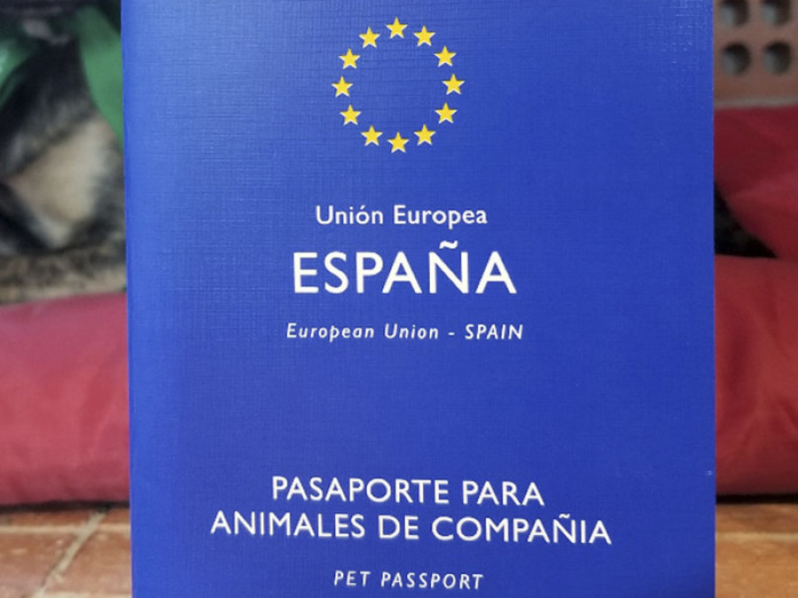 Pasaporte animales de compañía perros mascotas