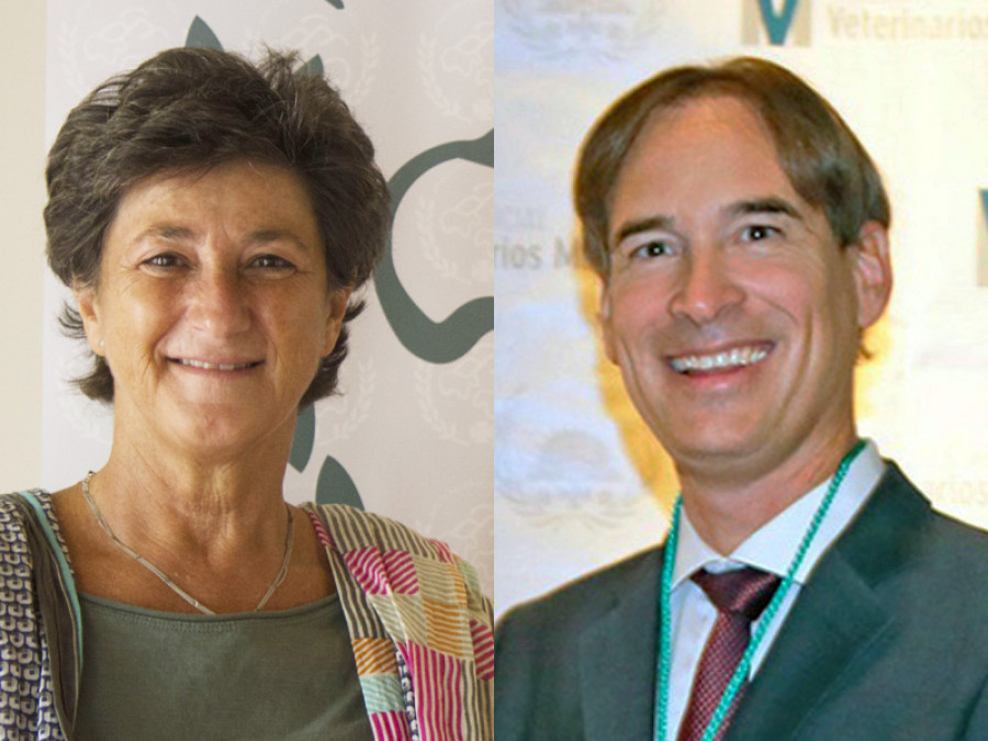Cristina velasco juan antonio de luque
