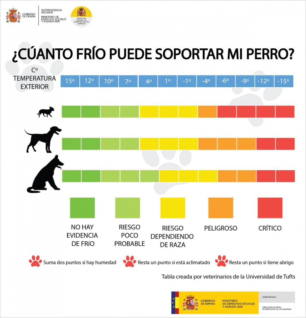 Linea cuanto frio puede soportar perro infografia dchos animales