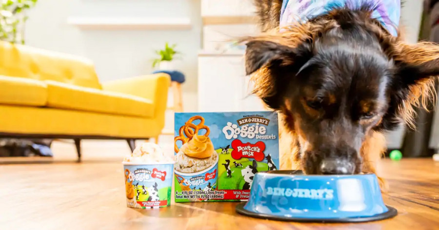 Helado para perros