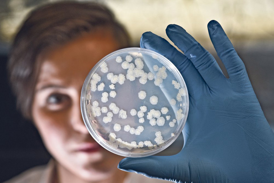 resistencia antibióticos investigación laboratorio