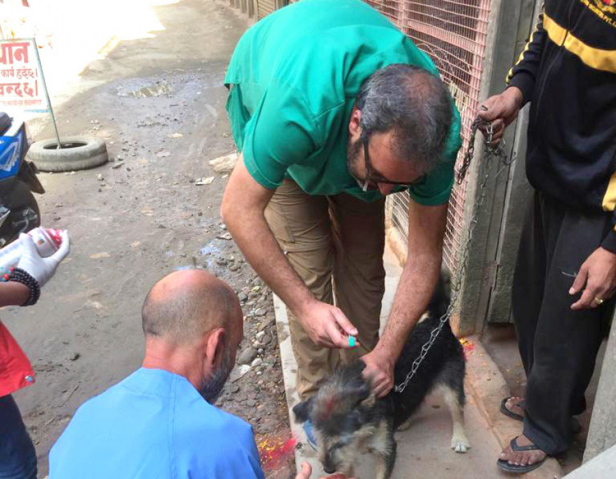 veterinarios rabia global vet aid