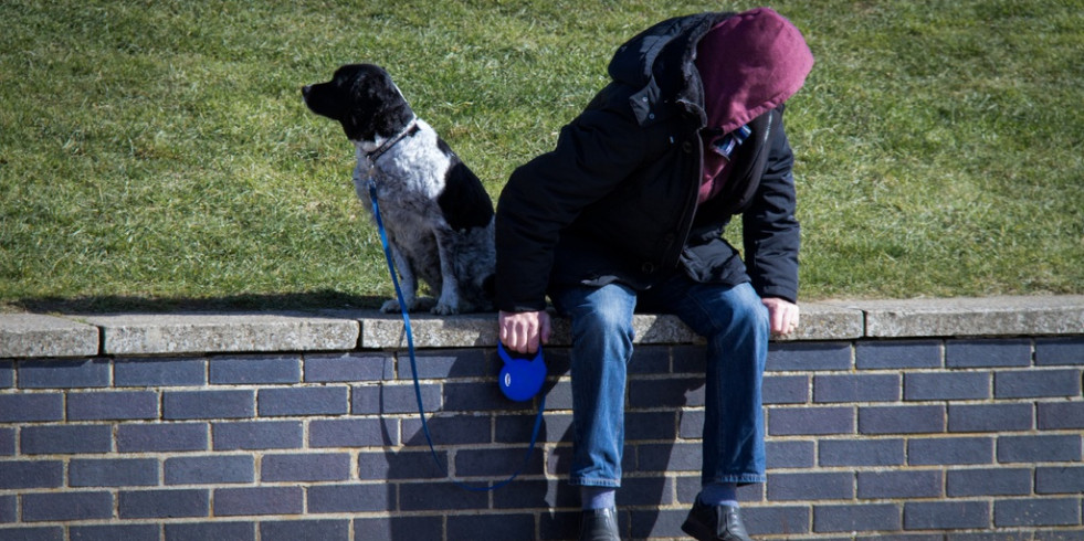 Madrid y Barcelona, entre las mejores ciudades europeas para vivir con una mascota