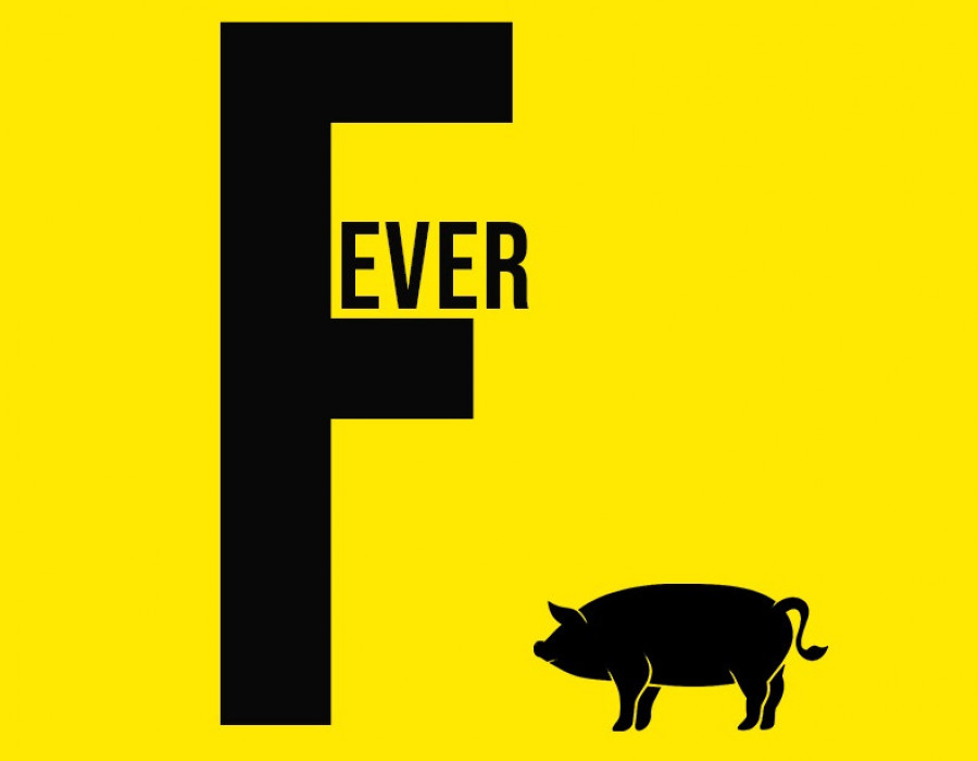10.Portada