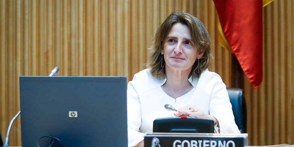 Arranca el Plan SAFE para evaluar la mortalidad de fauna por atropellos en España