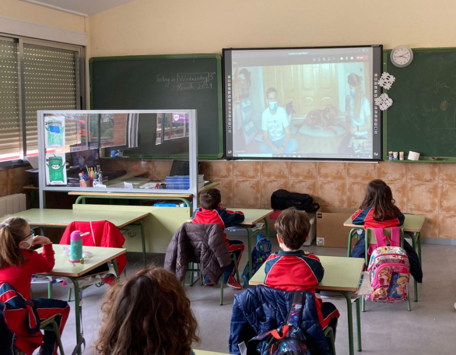 niños intervención animales