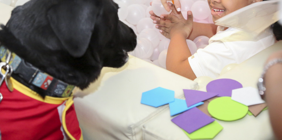 La terapia con perros para niños con parálisis cerebral muestra beneficios
