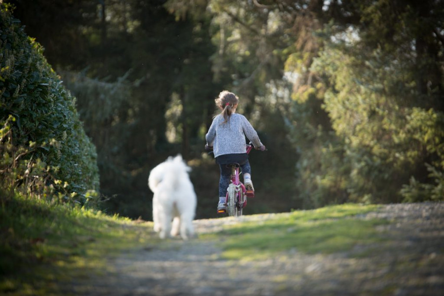 Crecer con perros niños