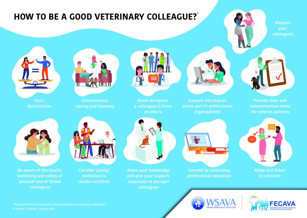 FECAVA Infographics VeterinaryCollegiality A4 02 2021 ENG5 1024x727