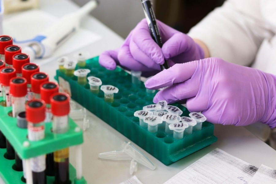 Investigación
