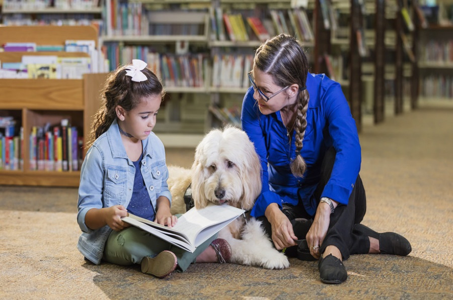 Estudio perros niños