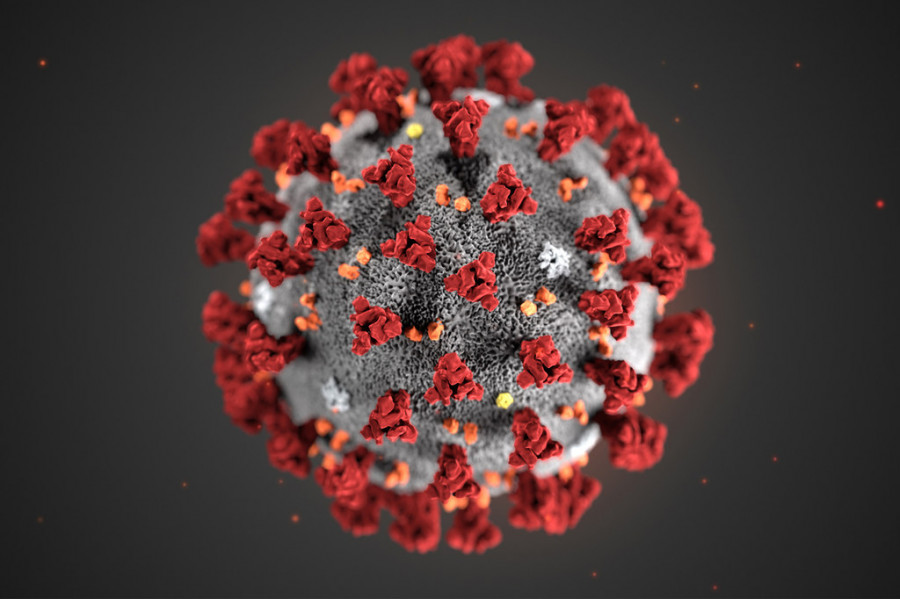 Coronavirus covid