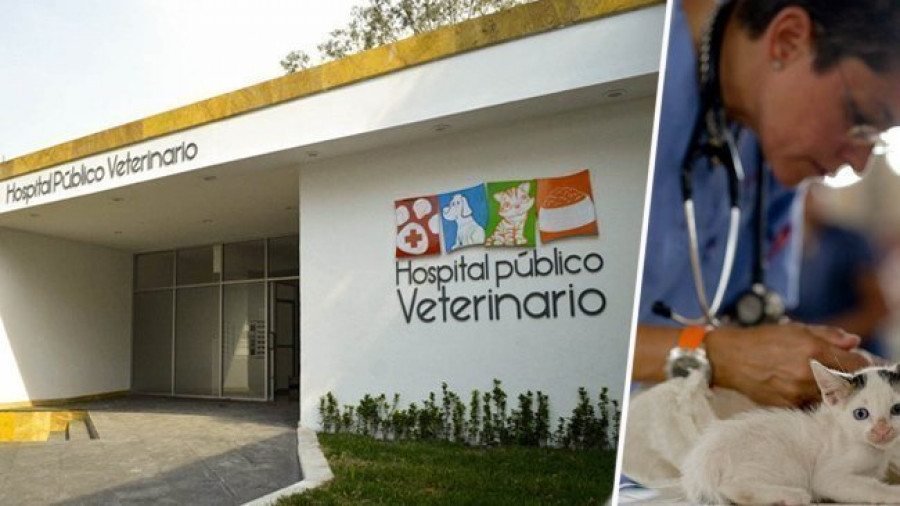 Clínica veterinaria pública