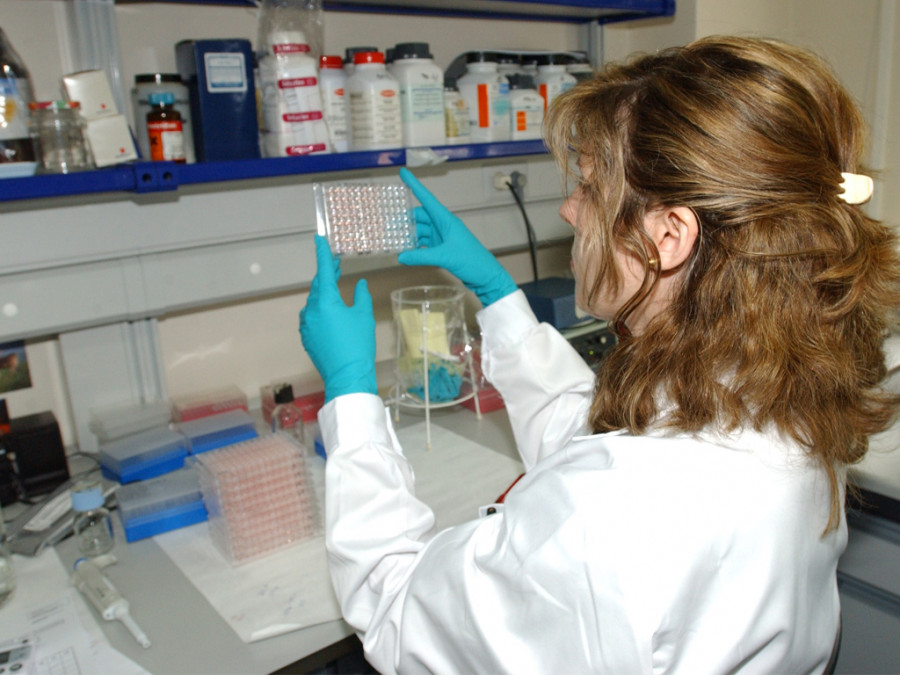 Laboratorio veterinario algete investigación