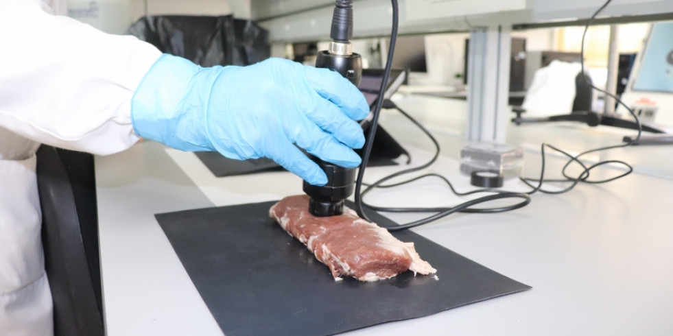 Desarrollan una herramienta digital para la autentificación de productos de cerdo ibérico