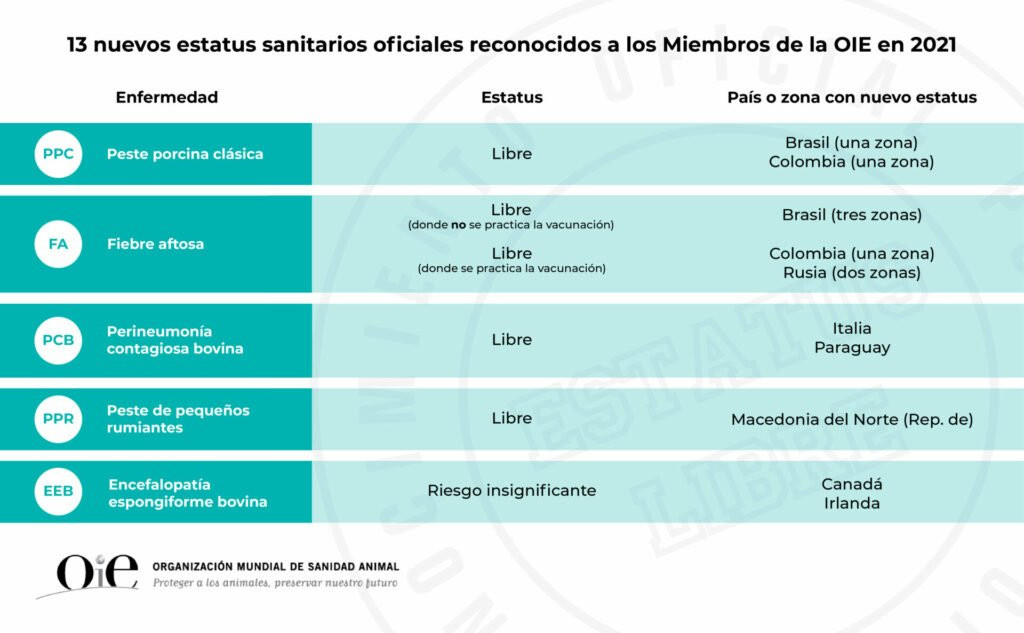 Es statusrecogtablesg 03 1024x633