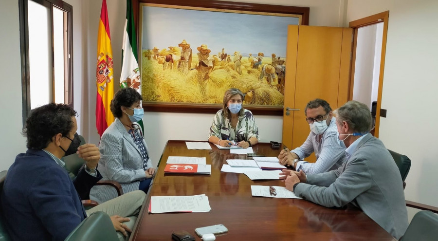 Red veterinarios rabia