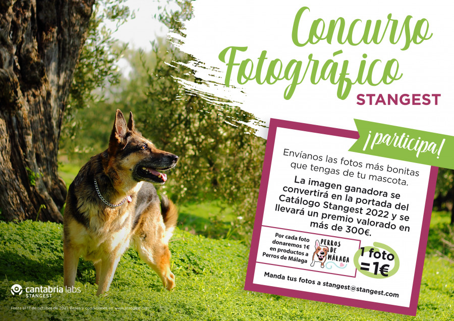 Stangest concurso fotografía