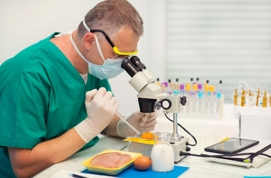 veterinario seguridad alimentaria