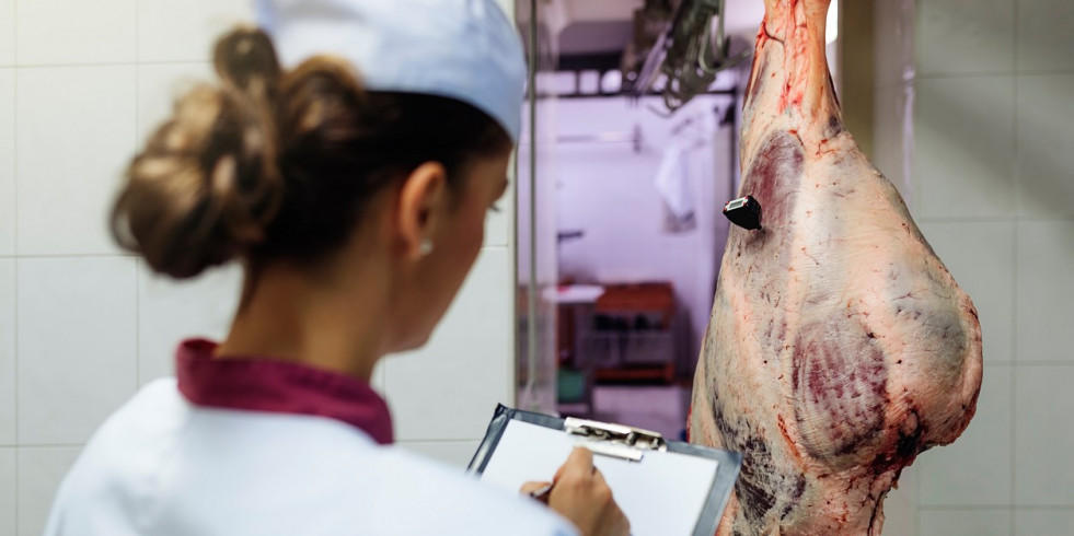 Los veterinarios andaluces se forman en seguridad alimentaria