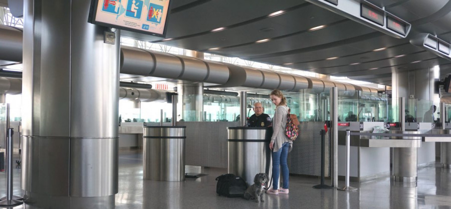 Aeropuerto perro rabia eeuu