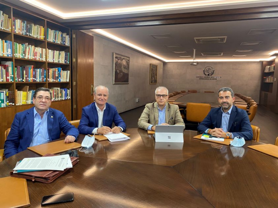Comisión Estatutos ocv organización colegial veterinraia