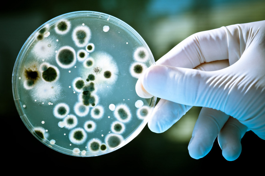 Resistencia antimicrobiana antibióticos