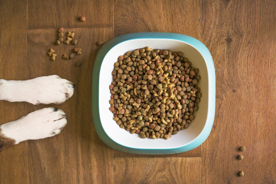 Petfood comida perros pienso