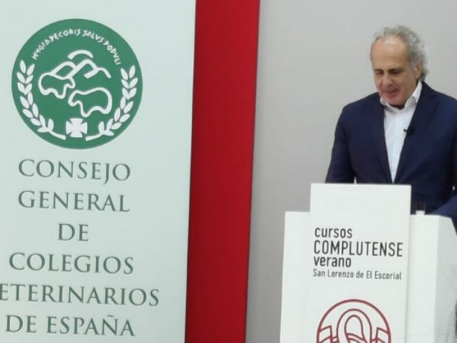 Ruiz escudero