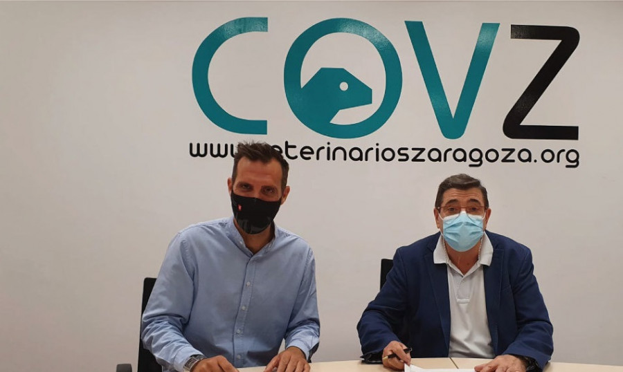 Convenio colonias felinas zaragoza