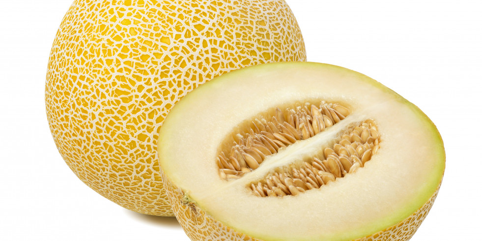 Brote de salmonela en varios países de Europa asociado al consumo de melones