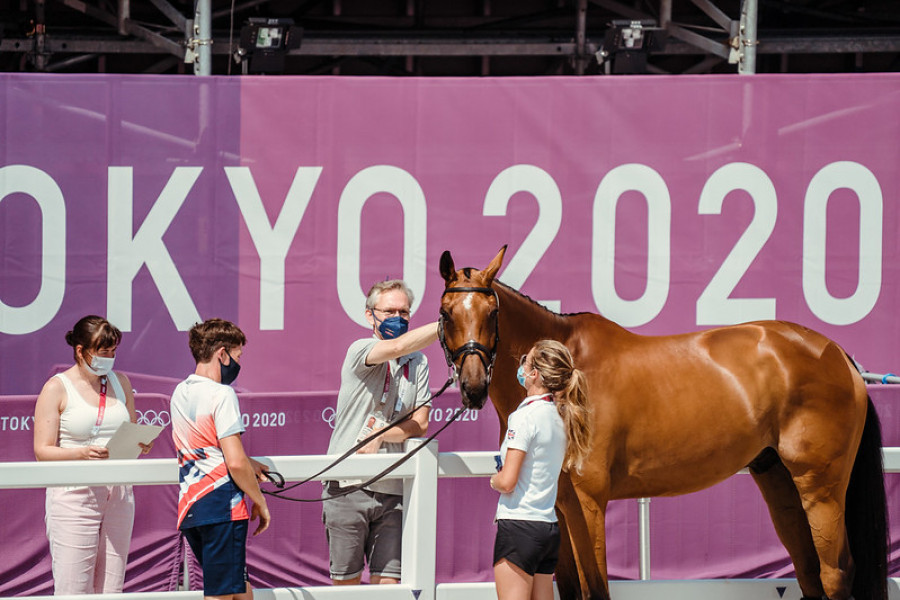 caballos tokyo 2020
