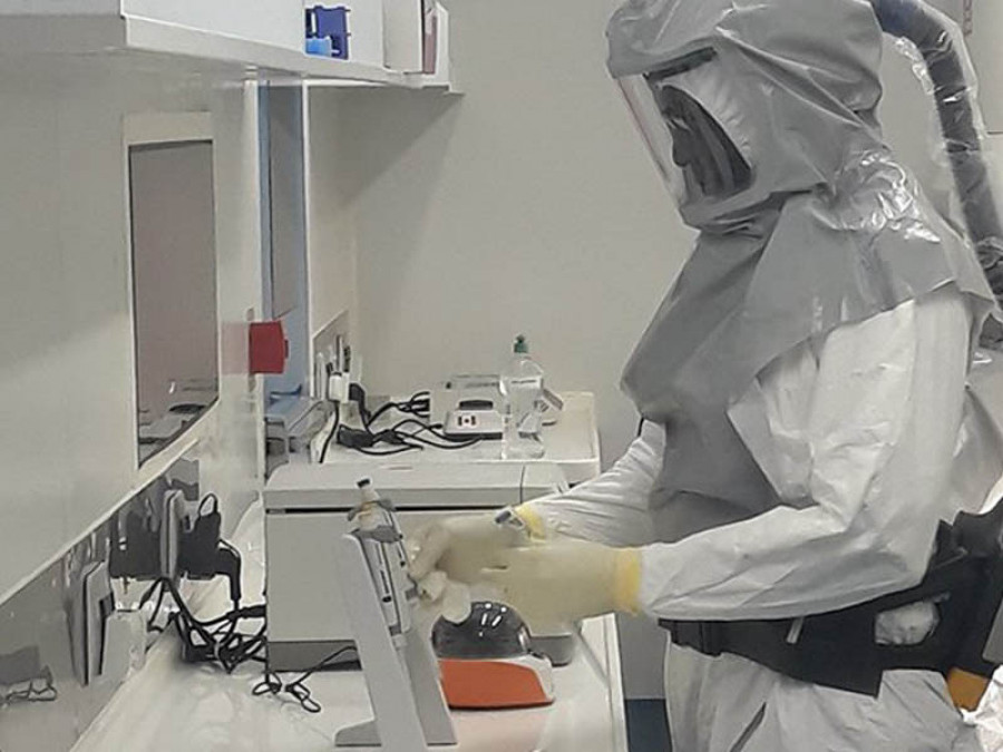 Test covid bioterrorismo