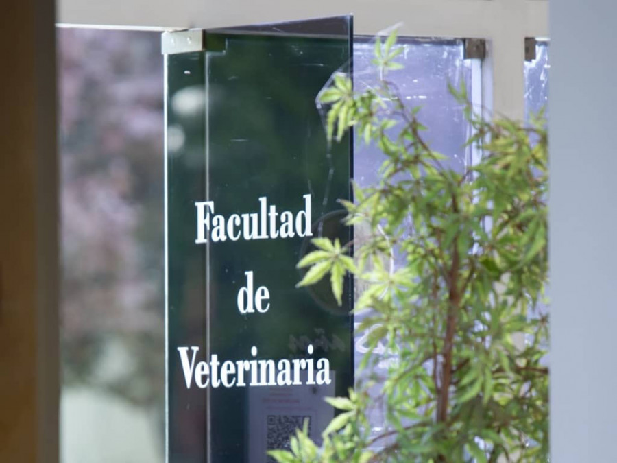 Facultad de veterinaria