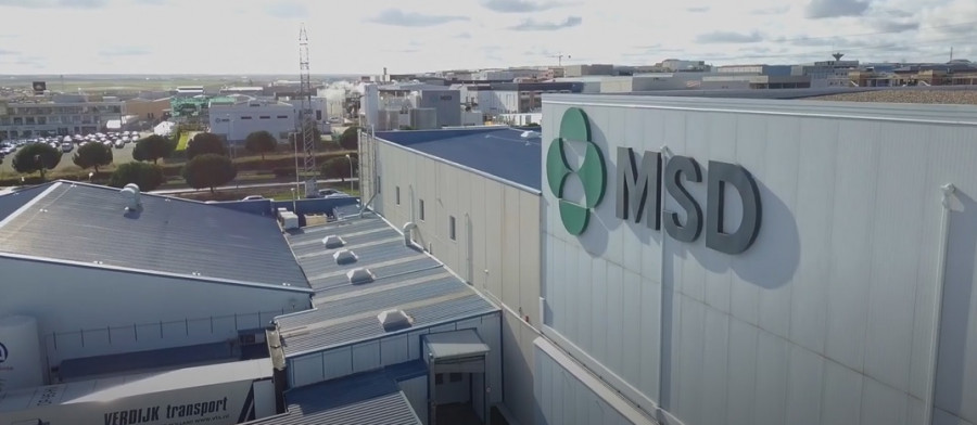 Msd planta salamanca