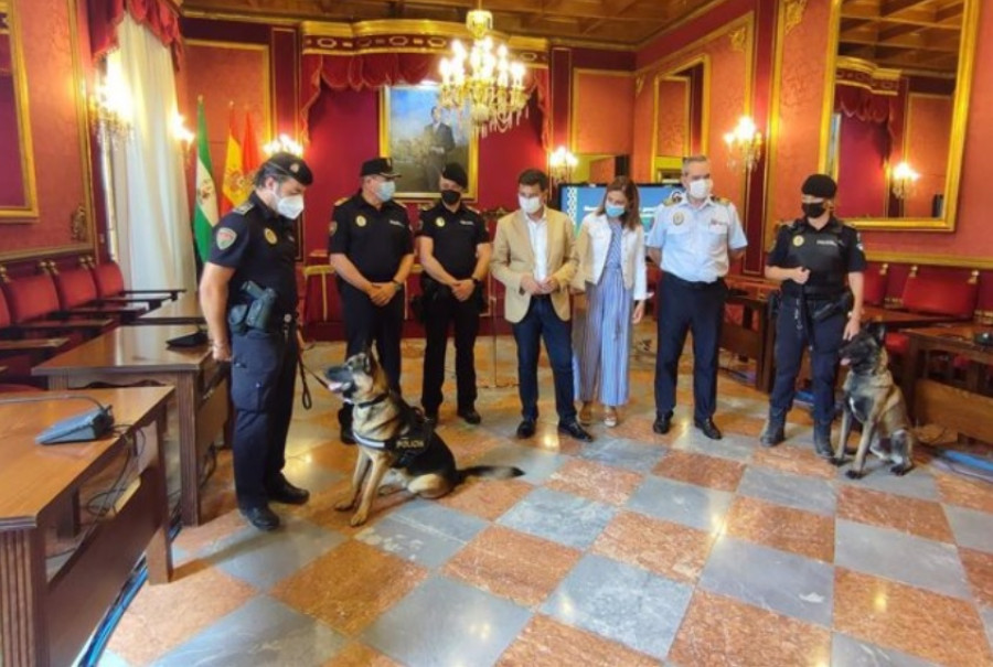 Granada unidad canina