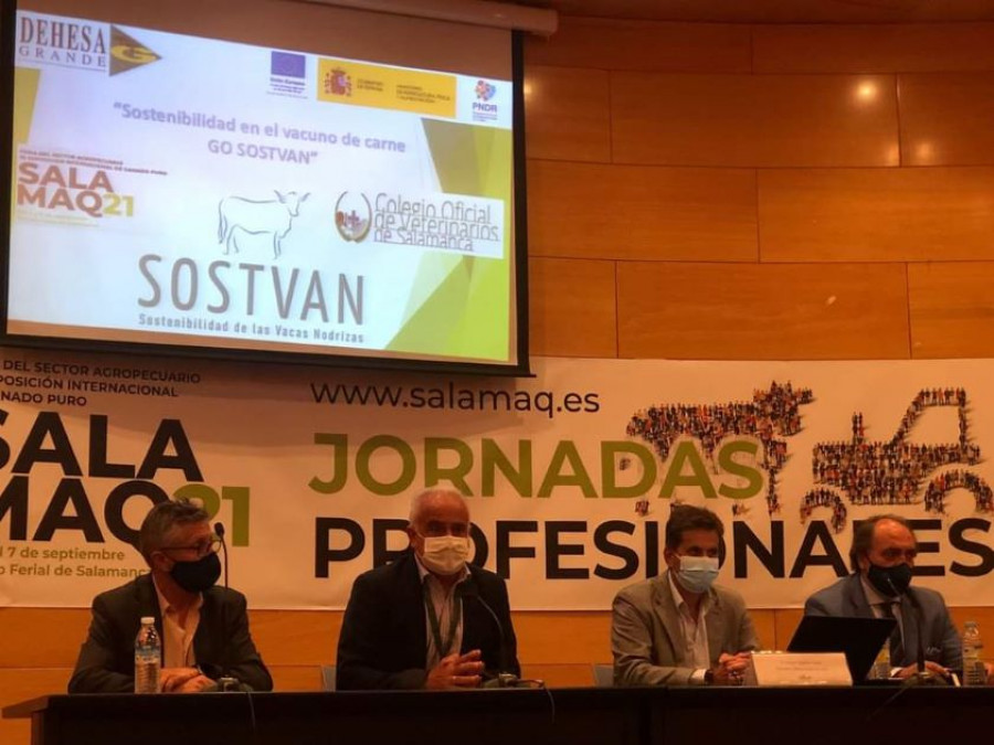 CONFERENCIA SALAMAQ