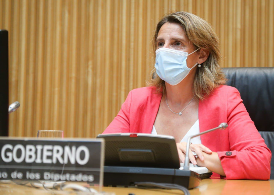 Teresa ribera